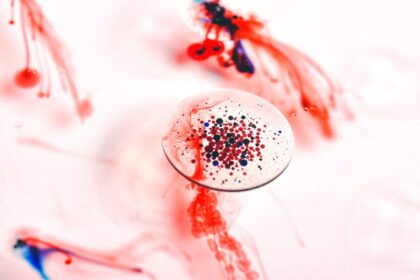 Zaburzenia w procesie krzepnięcia krwi - przyczyny i skutki